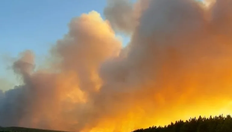 Corrientes: en 32 horas de incendio se perdieron 5.000 hectáreas forestadas