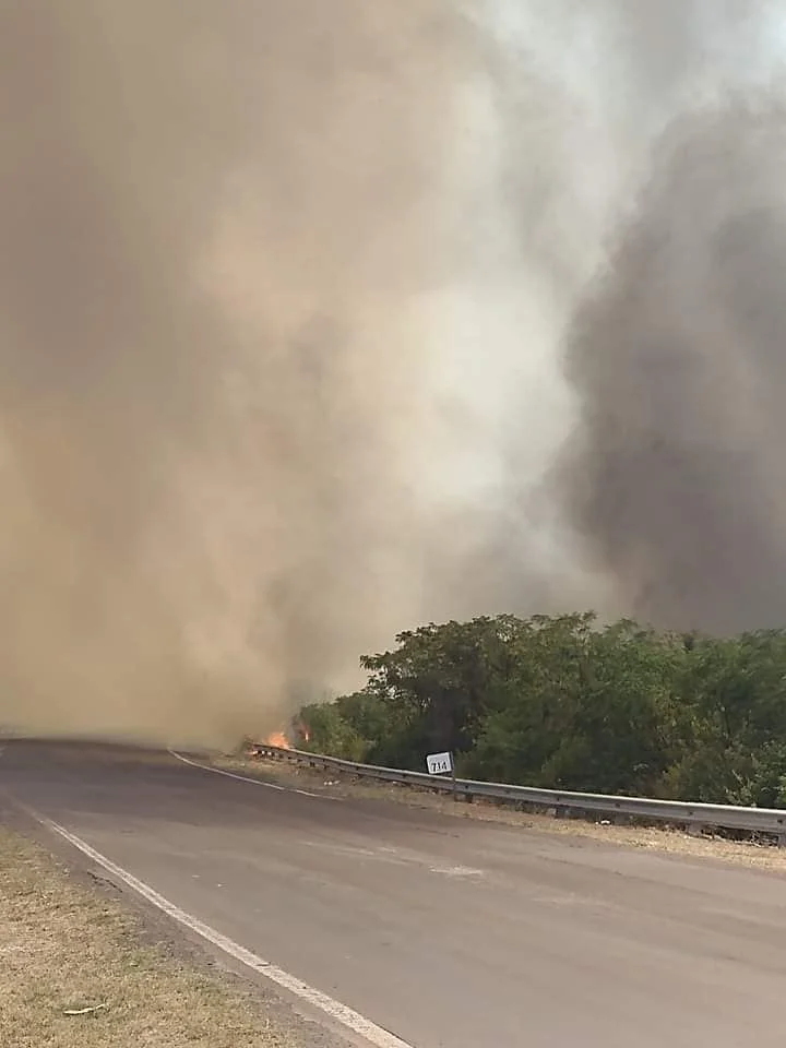 Feroz incendio en Corrientes: tránsito reducido en una ruta y piden precaución