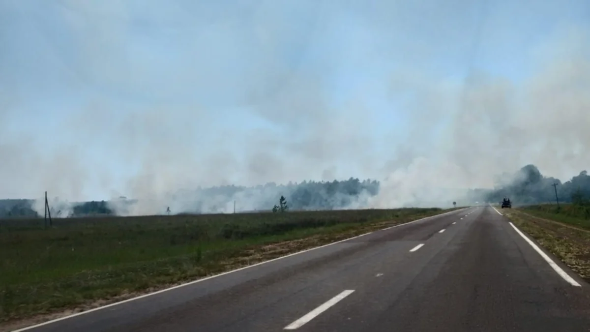 Alerta: se desató un incendio y provocó el corte total de una ruta de Corrientes 