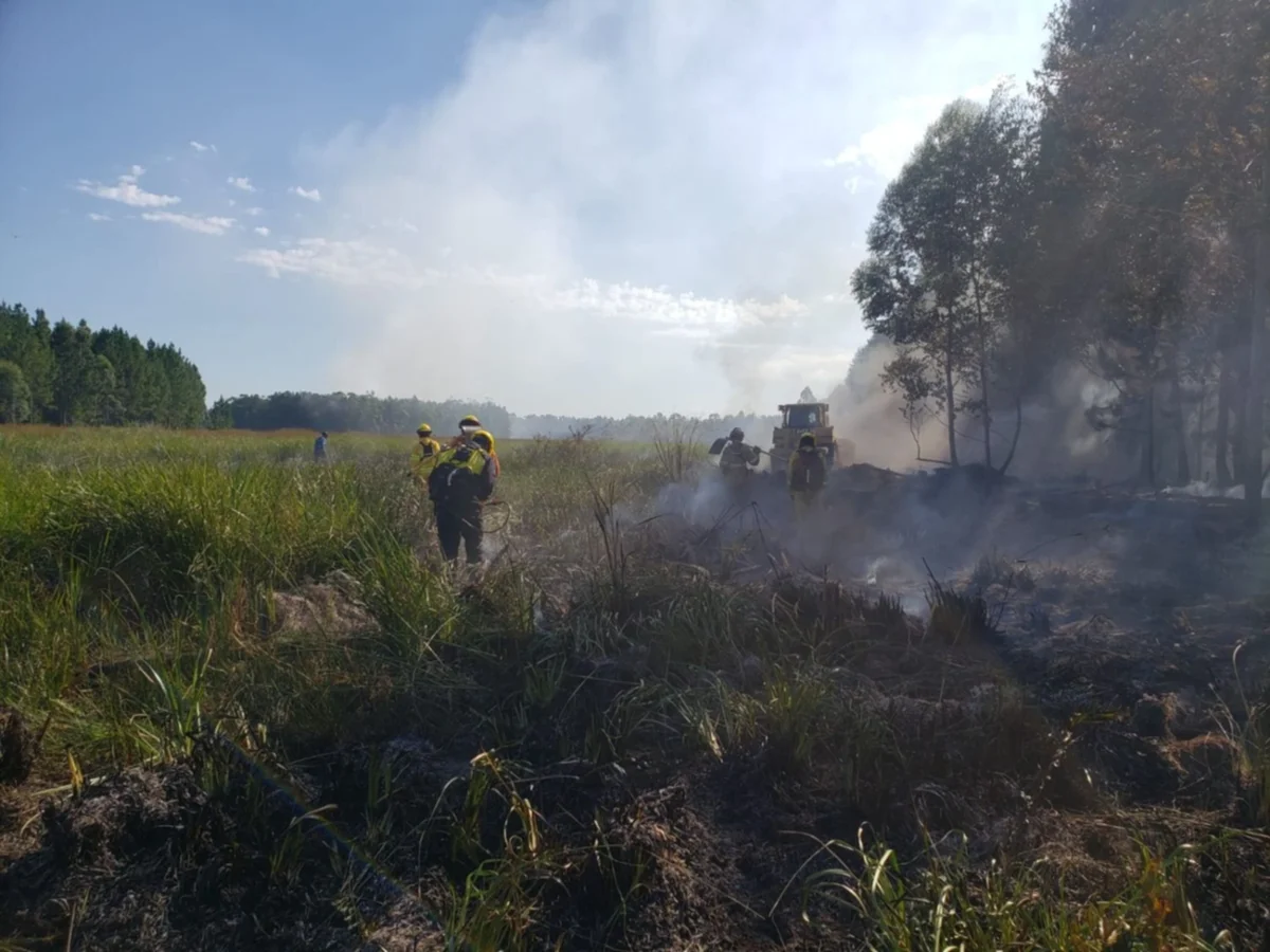 Corrientes: aviones hidrantes y 9 dotaciones de bomberos intentan controlar un incendio