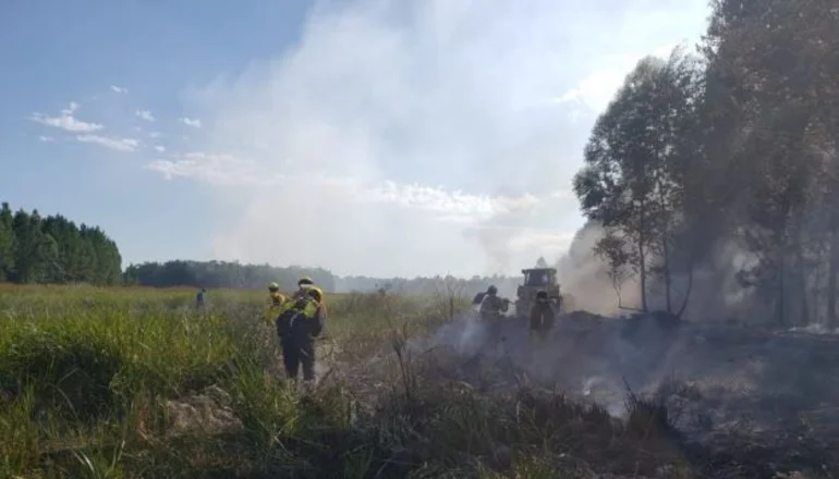 Extinguieron un incendio que afectó a 300 hectáreas de bosques y esteros