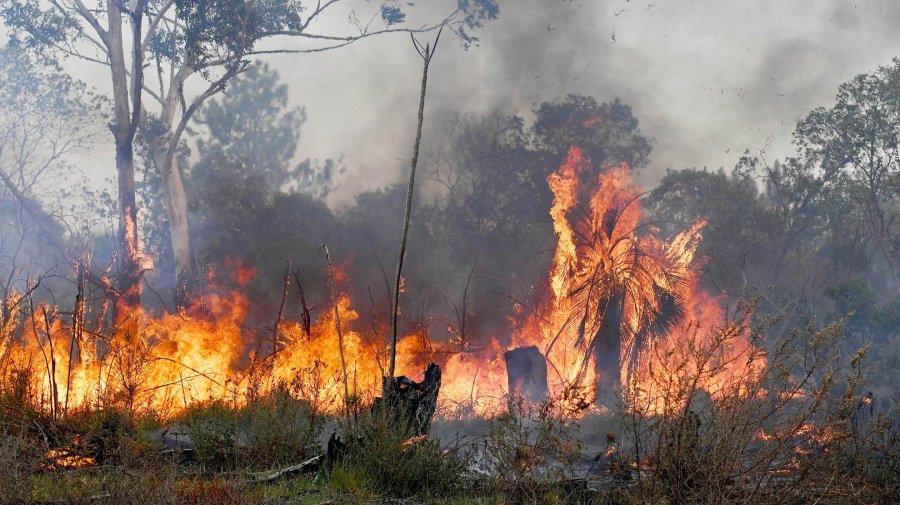 Cinco focos de incendios permanecen activos en Corrientes - El litoral