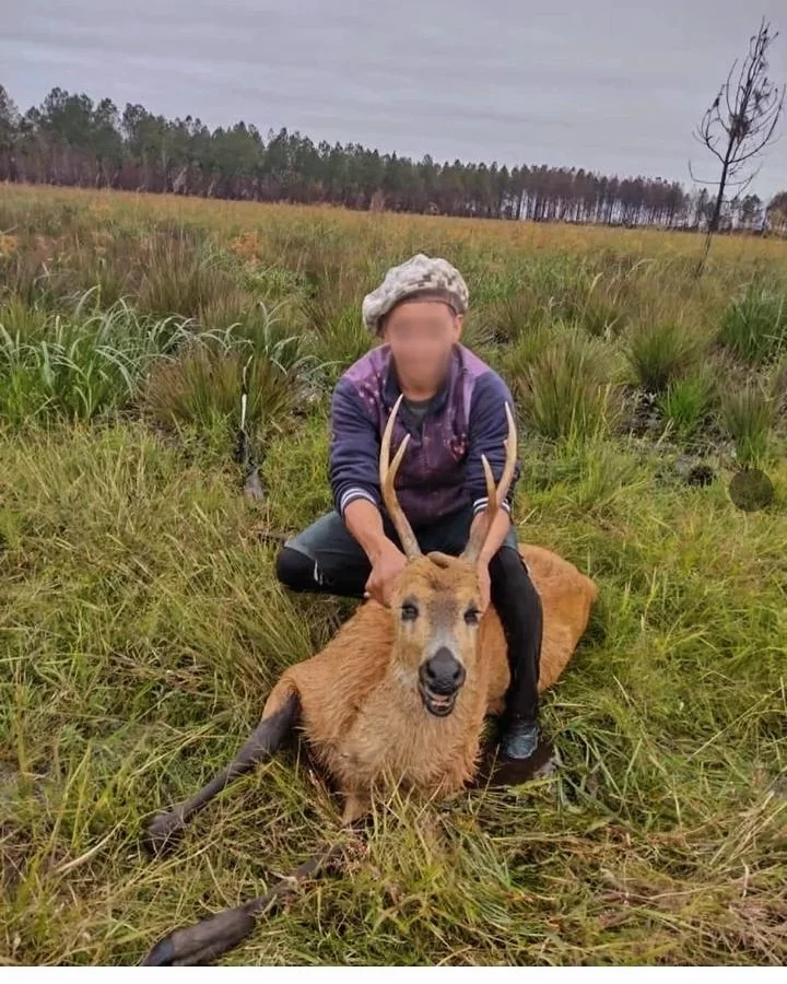  Atraparon al hombre que mató a un ciervo de los pantanos y publicó en sus redes sociales