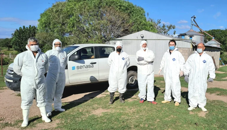 Confirmaron el primer caso de gripe aviar en Corrientes