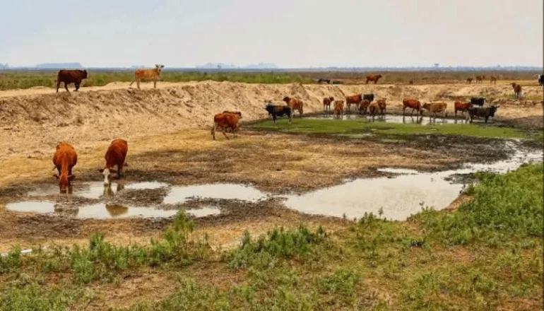 Por zona y actividad: así será la asistencia a los productores afectados por la sequía