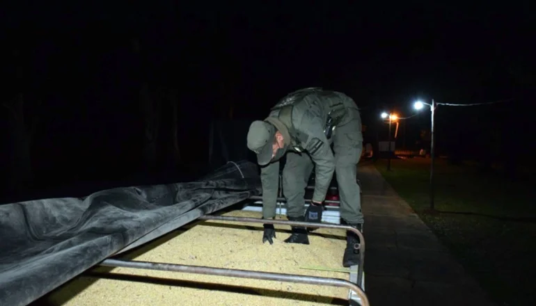 Contrabando de granos en Corrientes: incautaron 57 mil kilos de soja 