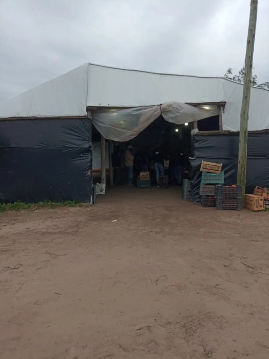 Corrientes: rescataron a 10 trabajadores víctimas de explotación laboral en fincas 