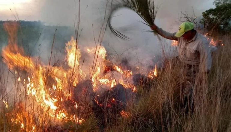 Sequía: declararon alerta amarilla por incendios en Corrientes