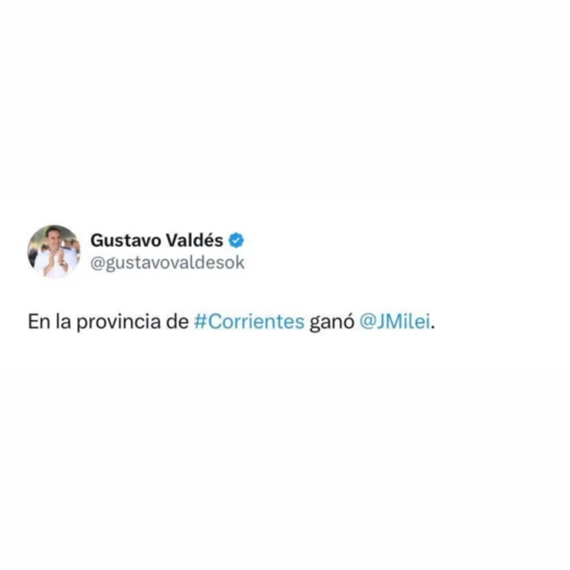 Valdés: "En la provincia de Corrientes ganó Javier Milei"
