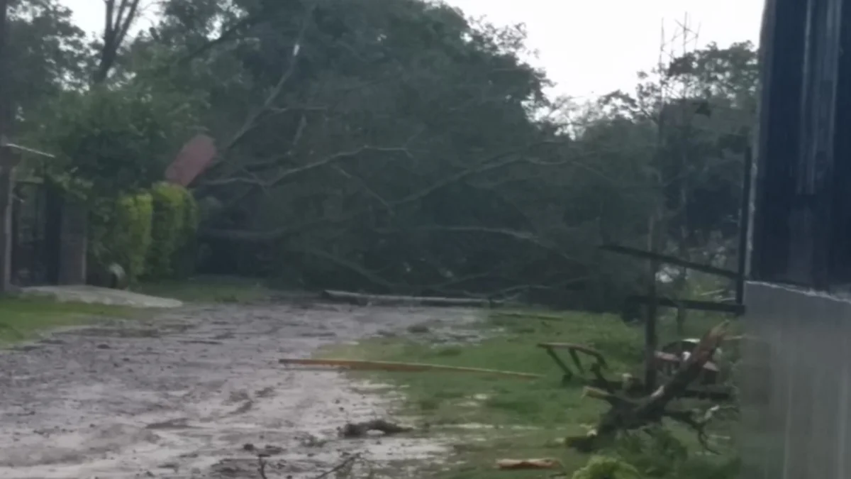 Alerta naranja: las tormentas causaron estragos en diversas localidades de Corrientes