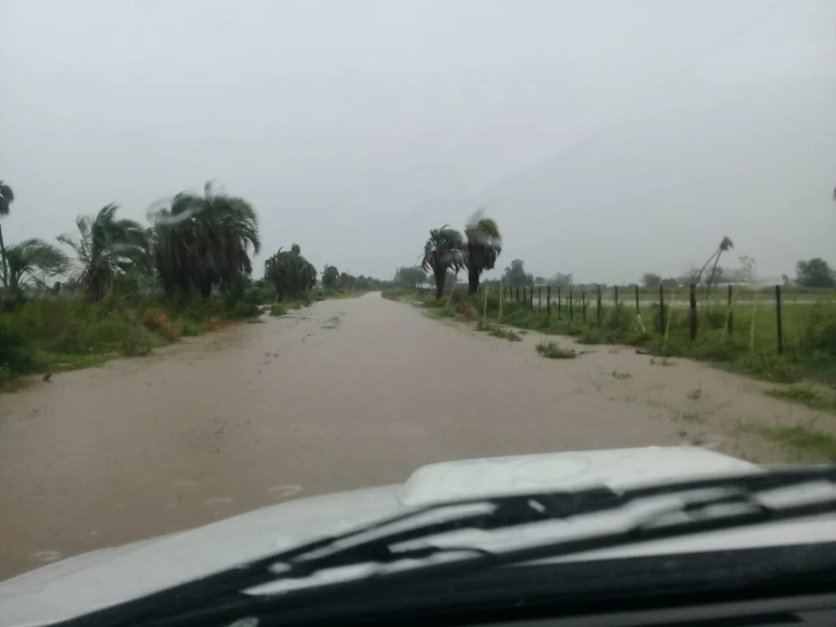 Alerta naranja: las tormentas causaron estragos en diversas localidades de Corrientes