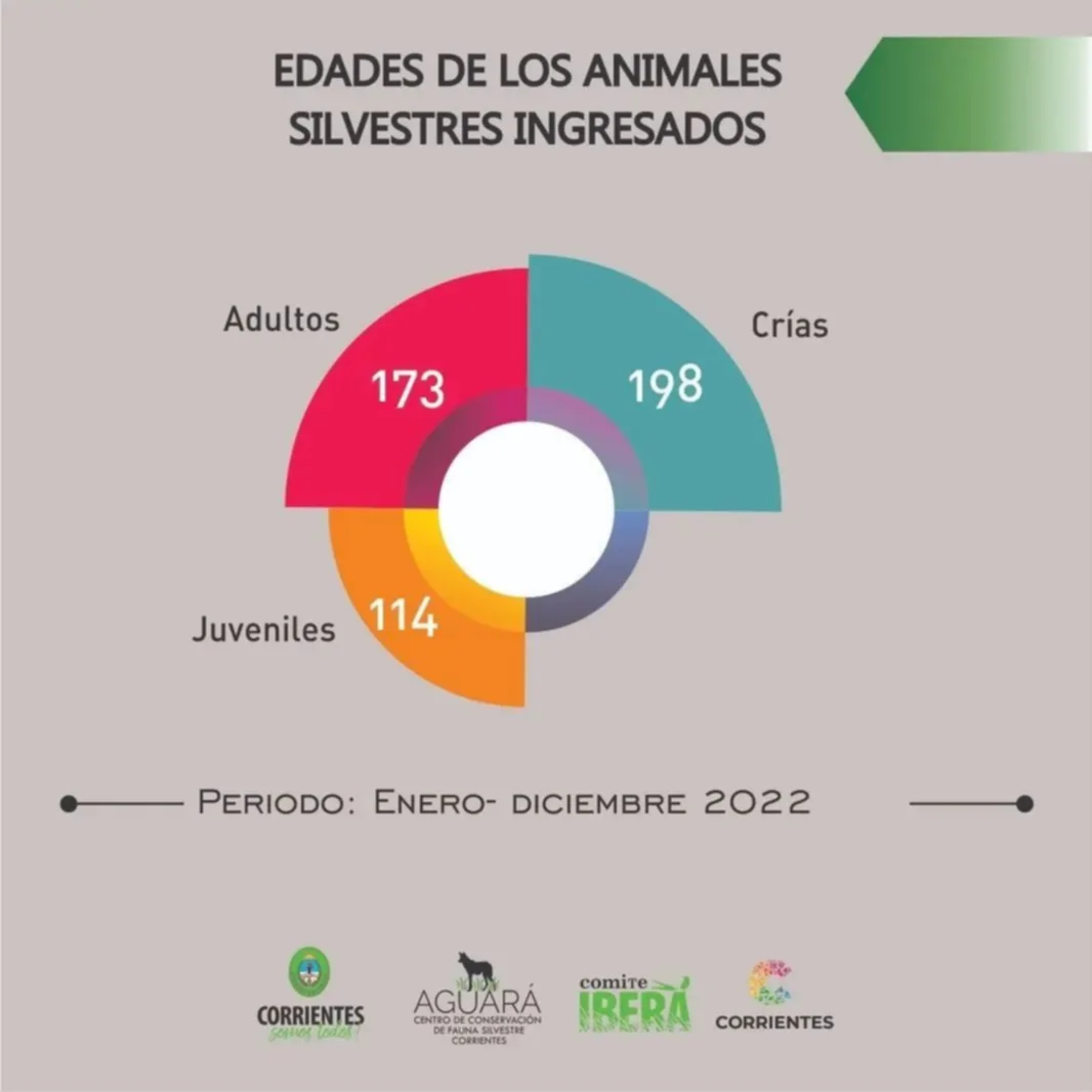 Corrientes: este año 485 animales silvestres ingresaron al Centro Aguará 