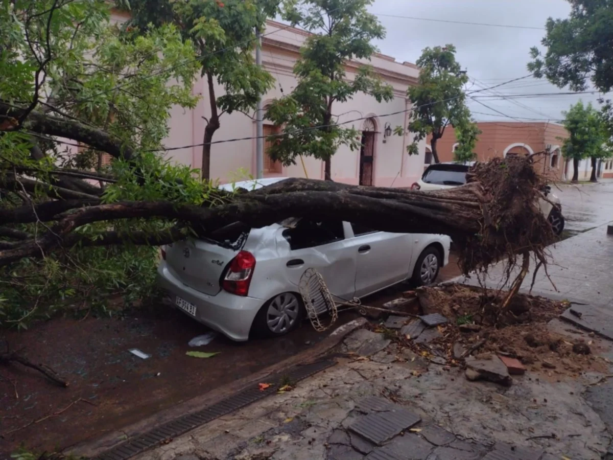 Destrozos e inconvenientes por el temporal en Corrientes
